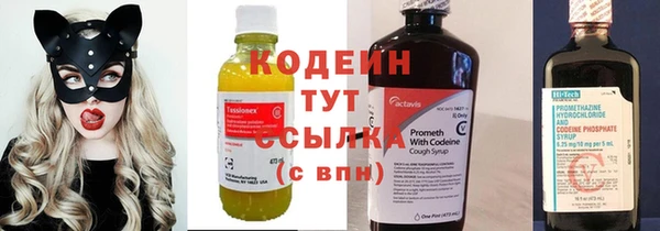 прущий лед Кодинск