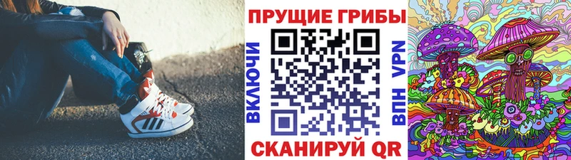 Купить где  Данилов  Псилоцибиновые грибы Magic Shrooms 